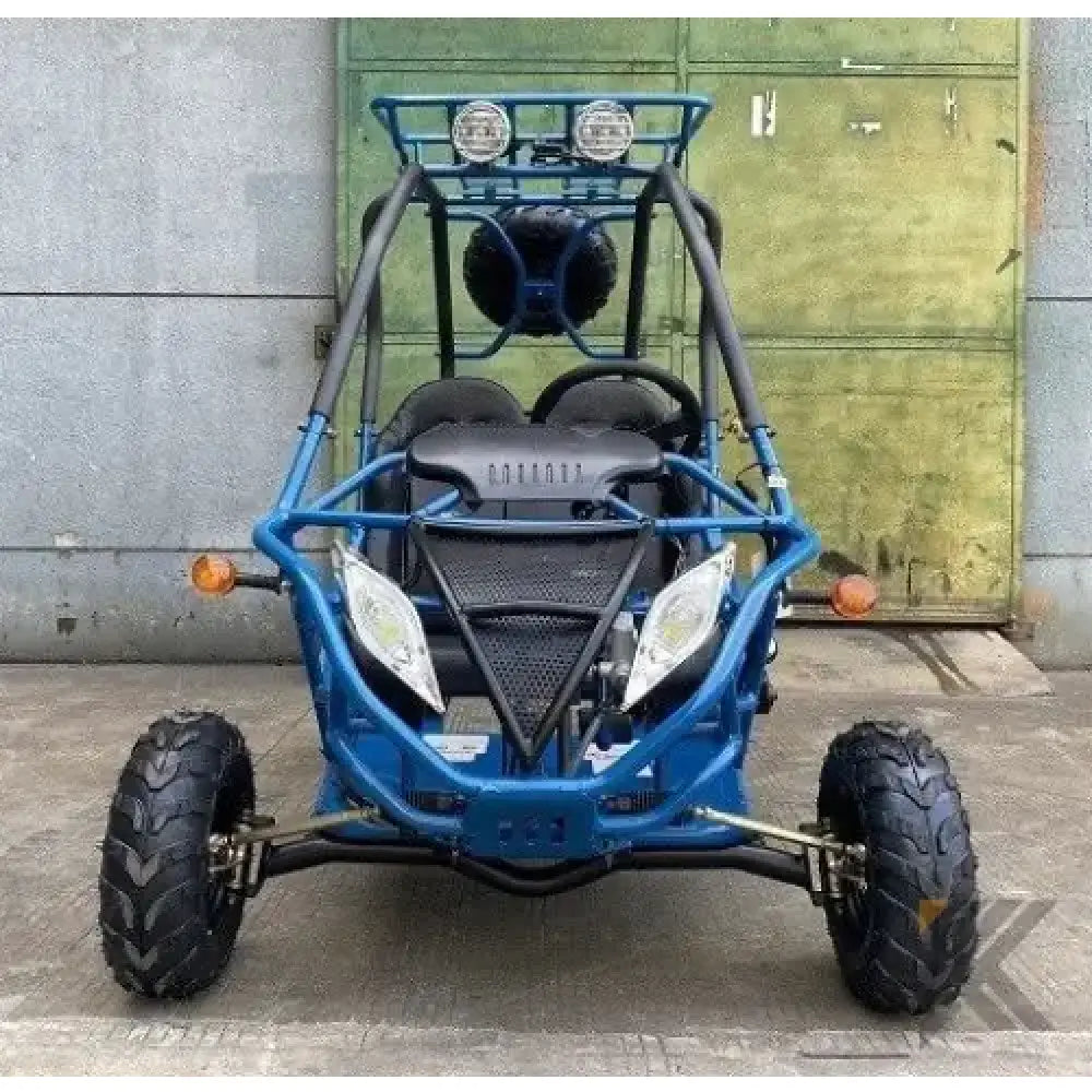Dongfang DF200GVA Falcon Jr. Children's Go-Kart Buggy, 4-Stroke 196cc Kryptex Golf Carts