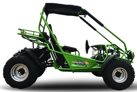 Trailmaster 200 XRS Adult Go Kart Buggy