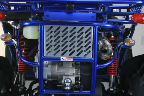 Trailmaster 300 XRX EFI Adult Go-Kart Buggy