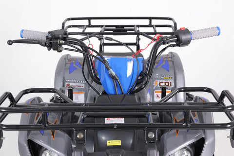 Tao Tao T Force Platinum 125 Children’s ATV 4 Stroke 125cc