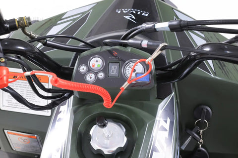 Tao Tao Rival Mudhawk 6 Children’s ATV 4 Stroke 110cc