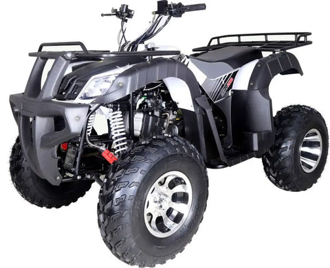 VTT quad adulte Tao Tao Bull 200S