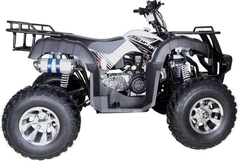 VTT quad adulte Tao Tao Bull 200S
