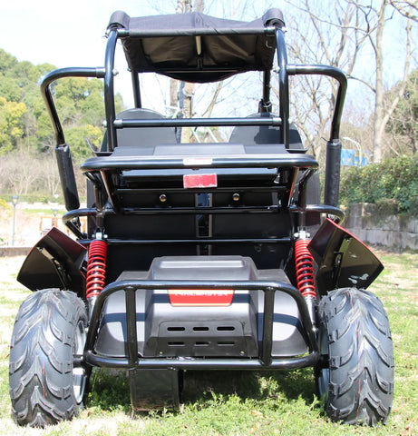 Trailmaster Blazer i200R Electric Youth Go Kart Buggy