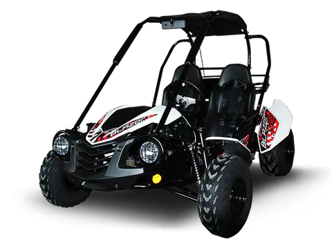 Trailmaster Blazer 200 Adult Go Kart Buggy