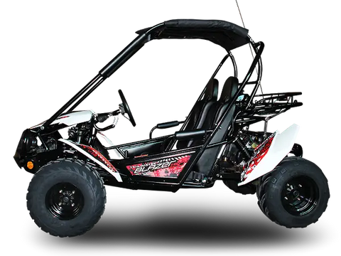 Trailmaster Blazer 200 Adult Go Kart Buggy