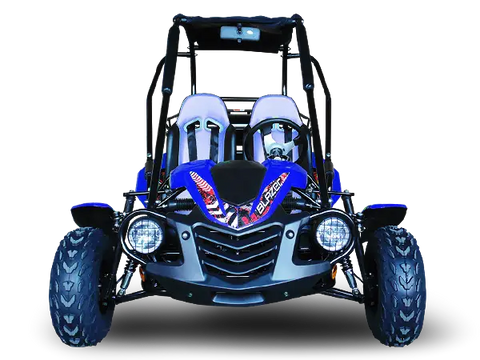 Trailmaster Blazer 200 Adult Go Kart Buggy