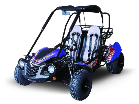 Trailmaster Blazer 200 Adult Go Kart Buggy