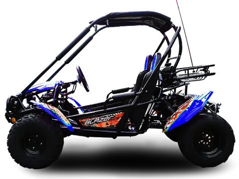 Trailmaster Blazer 200 Adult Go Kart Buggy