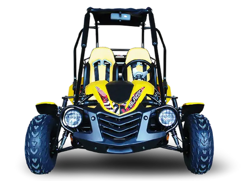 Trailmaster Blazer 200 Adult Go Kart Buggy