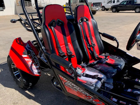 Trailmaster Blazer 200EX EFI Adult Go Kart Buggy