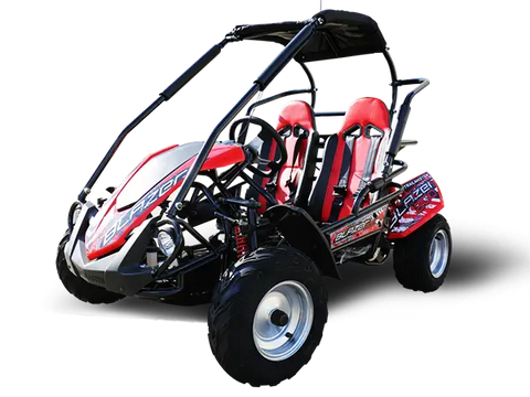 Trailmaster Blazer 200R Youth Go Kart Buggy