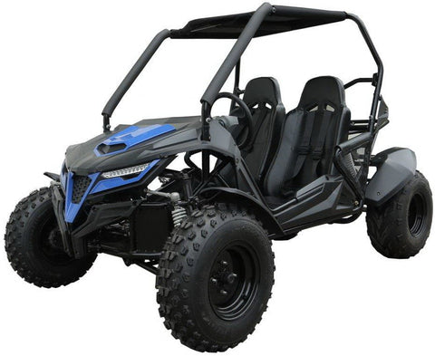 Trailmaster Cheetah 200 Adult Go Kart Buggy