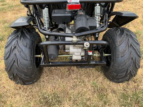 Trailmaster Cheetah 200 Adult Go Kart Buggy