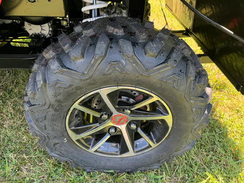 Victory 450 EFI 4X4 Golf Cart