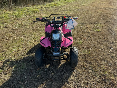 Banshee Mini Sport Children’s ATV-6’’ 4-Stroke 110cc