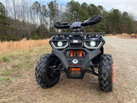 Tao Tao Raptor 200G Adult ATV