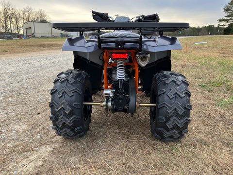 Tao Tao Raptor 200G Adult ATV