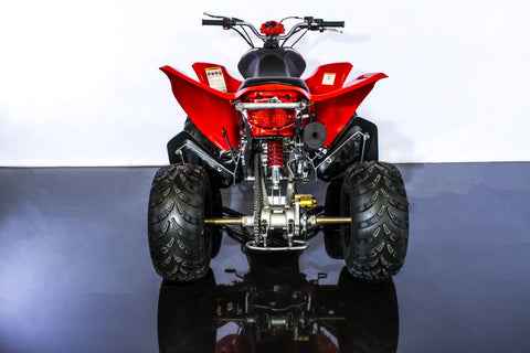 Trailmaster 300 XRX EFI Adult Go-Kart Buggy