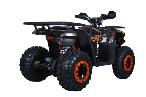 Tao Tao Raptor 200G Adult ATV