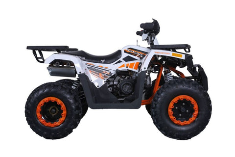 Tao Tao Raptor 200G Adult ATV