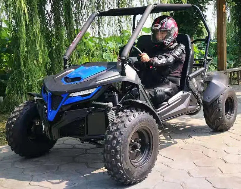 kart de course trailmaster cheetah 200E