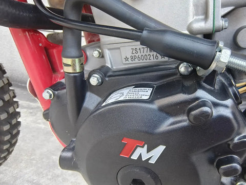 Trailmaster TM38E 300 EFI Adult Dirt Bike