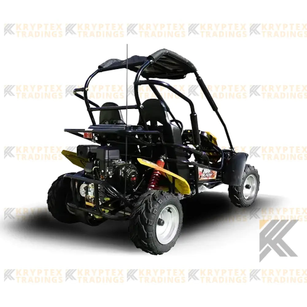 Trailmaster Blazer 200R Youth Go-Kart Buggy Kryptex Golf Carts