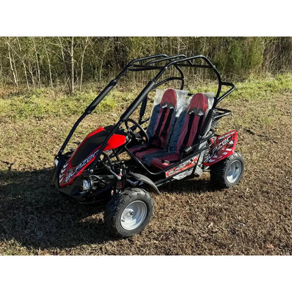 Trailmaster Blazer 200R Youth Go-Kart Buggy Kryptex Golf Carts