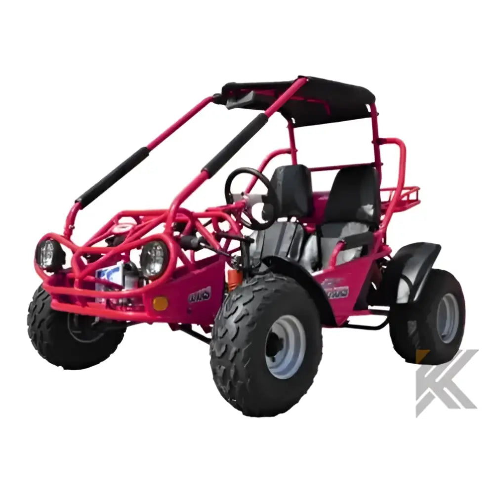 Trailmaster 200 XRS Adult Go-Kart Buggy Kryptex Golf Carts