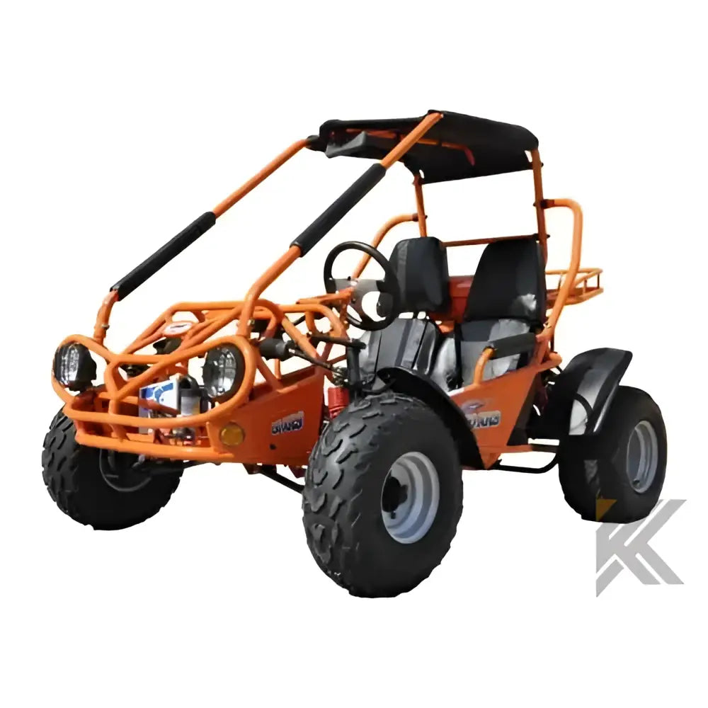 Trailmaster 200 XRS Adult Go-Kart Buggy Kryptex Golf Carts