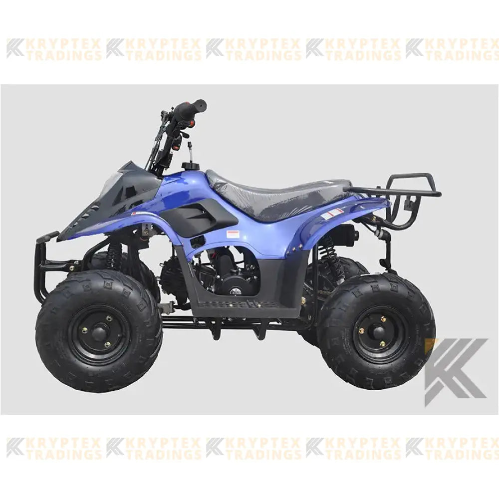 Banshee Mini Sport Children's ATV-6",  4-Stroke 110cc Kryptex Golf Carts