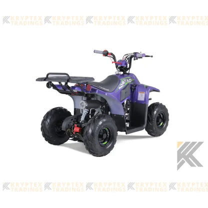 Tao Tao Rock 110 Children's ATV, 4-Stroke 110cc Kryptex Golf Carts