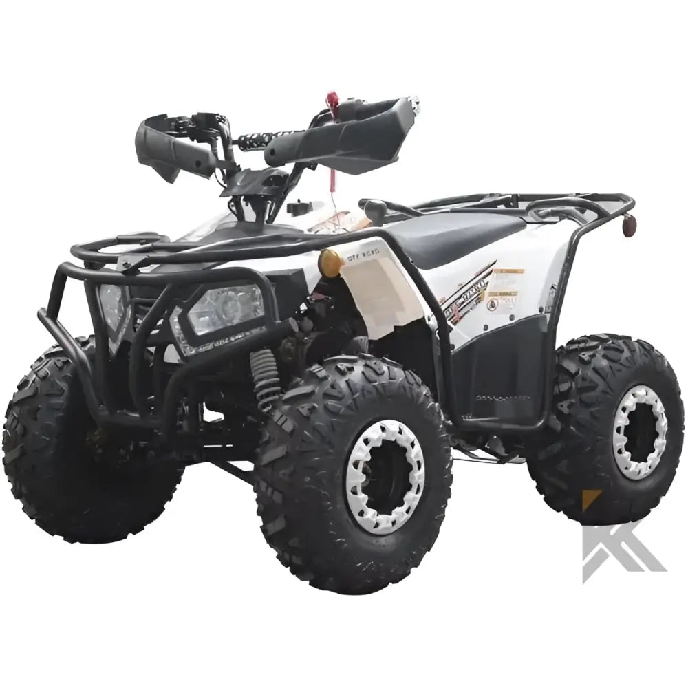 Dongfang Grizzly 200 ATS Youth ATV Kryptex Golf Carts