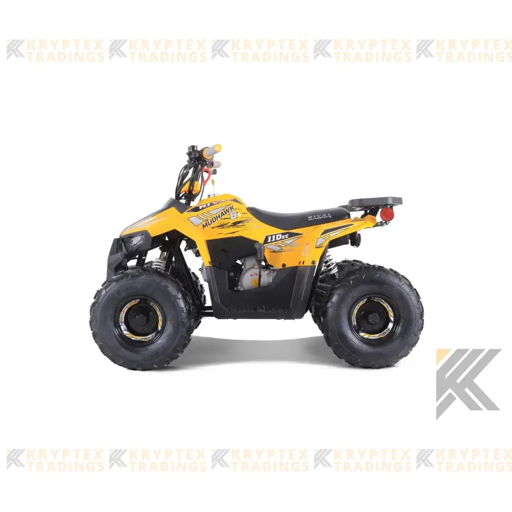 Tao Tao Rival Mudhawk 6 Children's ATV, 4-Stroke 110cc Kryptex Golf Carts