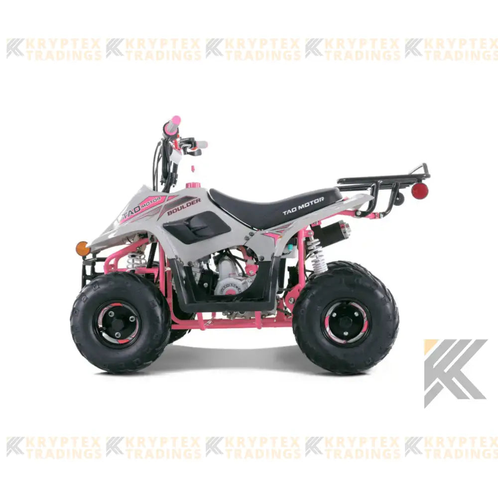 Tao Tao Boulder 110 Children's ATV, 4-Stroke 110cc Kryptex Golf Carts
