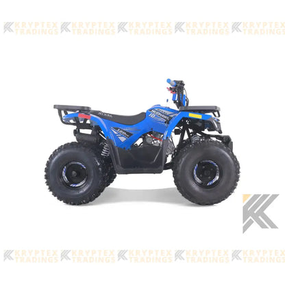 Tao Tao Rival Mudhawk 10 Children's ATV, 4-Stroke 125cc Kryptex Golf Carts