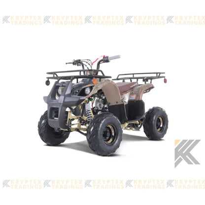 Tao Tao D125 Children's ATV, 4-Stroke 125cc Kryptex Golf Carts