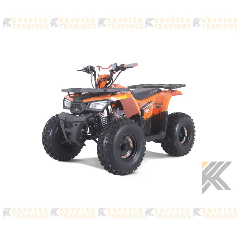 Tao Tao Rival Mudhawk 10 Children's ATV, 4-Stroke 125cc Kryptex Golf Carts