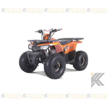 Tao Tao Rival Mudhawk 10 Children's ATV, 4-Stroke 125cc Kryptex Golf Carts
