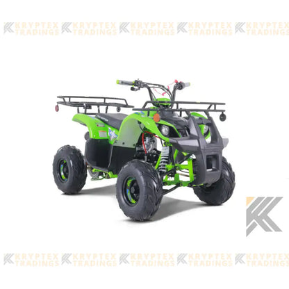 Tao Tao D125 Children's ATV, 4-Stroke 125cc Kryptex Golf Carts