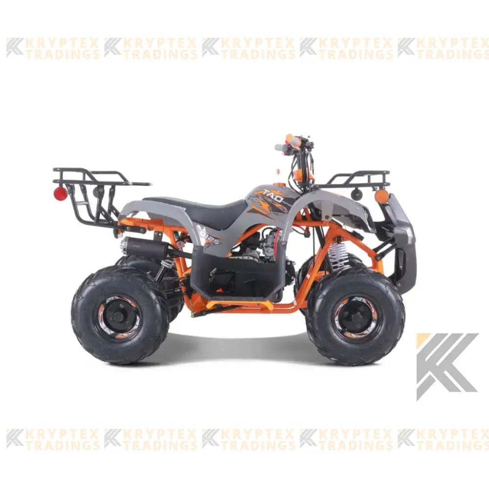 Tao Tao D125 Children's ATV, 4-Stroke 125cc Kryptex Golf Carts