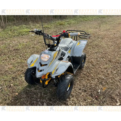 Tao Tao Boulder 110 Children's ATV, 4-Stroke 110cc Kryptex Golf Carts