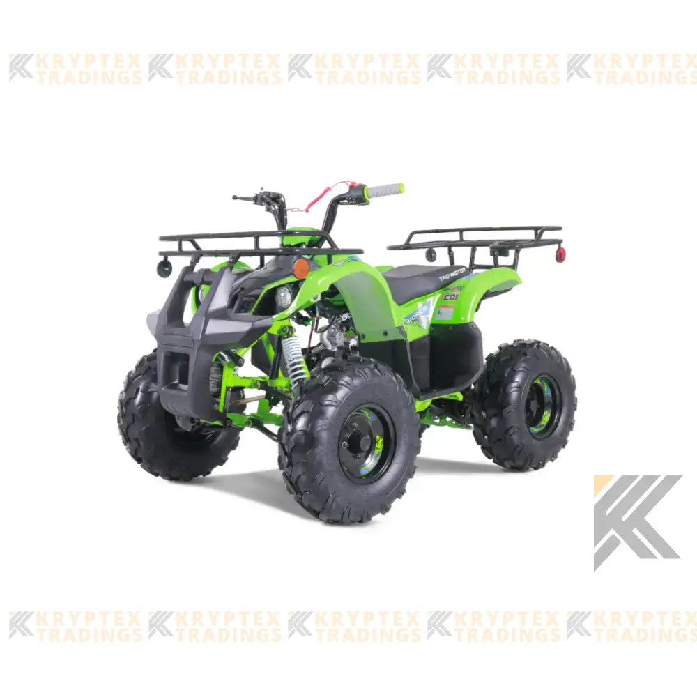 Tao Tao T125 Children's ATV, 4-Stroke 125cc Kryptex Golf Carts