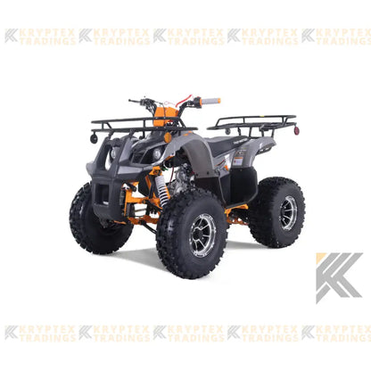 Tao Tao T-Force Platinum 125 Children's ATV, 4-Stroke 125cc Kryptex Golf Carts