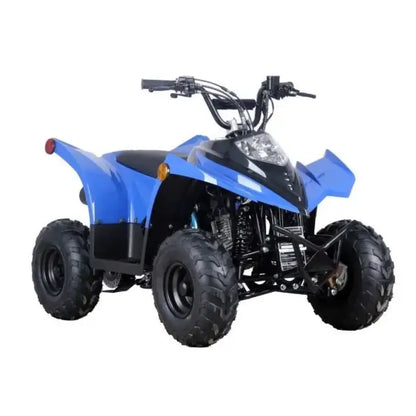 RACER 110 Children's ATV-6", 4-Stroke 110cc Kryptex Golf Carts