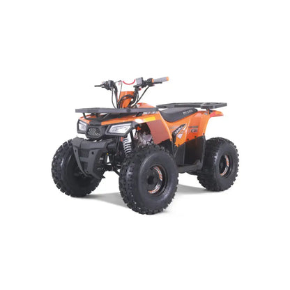 Tao Tao Rival Mudhawk 10 Children's ATV, 4-Stroke 125cc Kryptex Golf Carts
