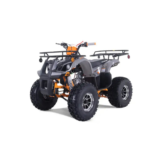 Tao Tao T-Force Platinum 125 Children's ATV, 4-Stroke 125cc Kryptex Golf Carts