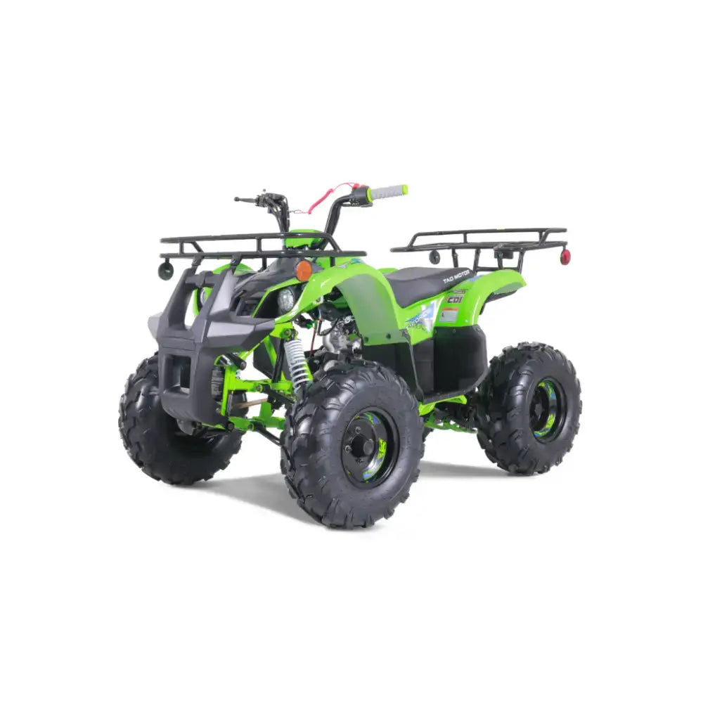 Tao Tao T125 Children's ATV, 4-Stroke 125cc Kryptex Golf Carts