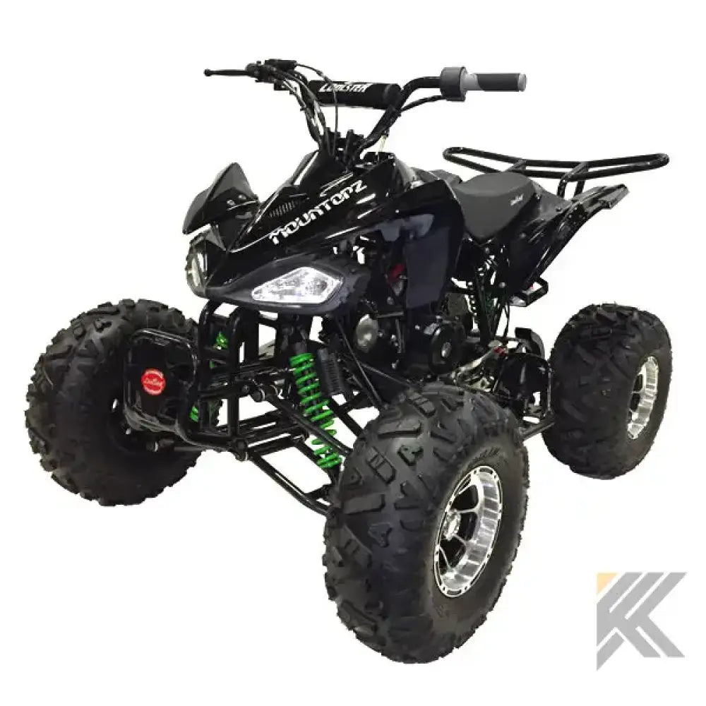 Raptor 125 XC Children's ATV, 4-Stroke 125cc Kryptex Golf Carts